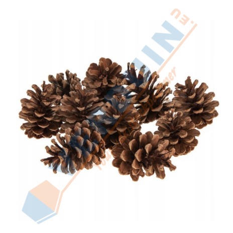Pinecones in Net Natural
