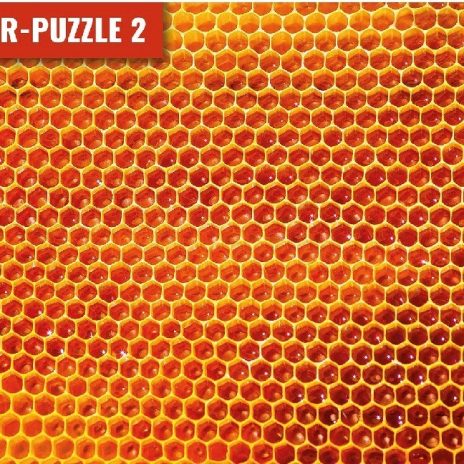 Meister Puzzle 2 500  pcs Honingweb