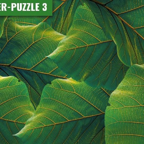 Meister Puzzle 3 500  pcs Leaf