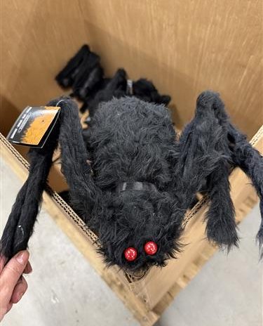 Spider Decoration